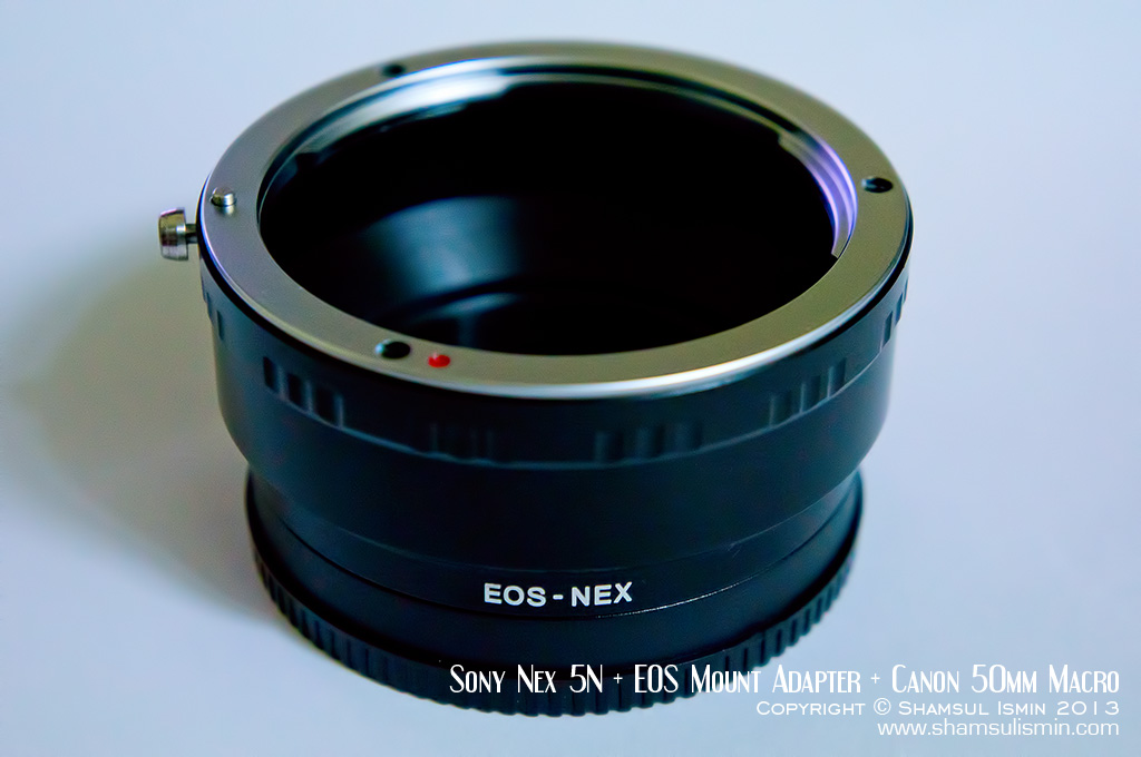 © 2013 Shamsul Ismin | Sony Nex 5N + EOS Mount Adapter + EOS Canon 50mm Macro Lens